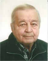 ADRIANO BIZZI